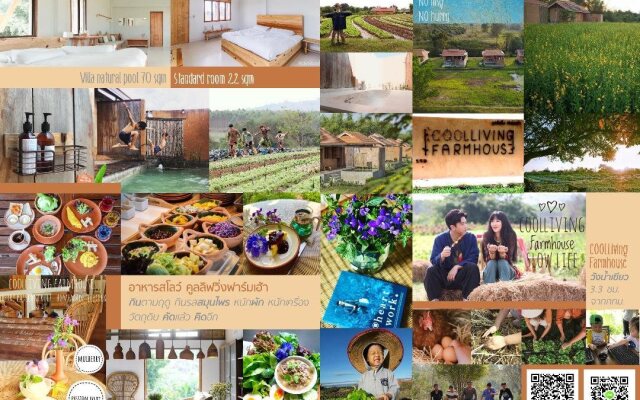 COOLLiving Farmhouse Organic