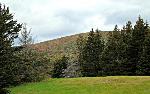 Cajun Cedar Log Cottages