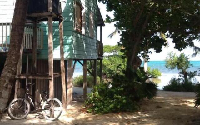 coconut grove