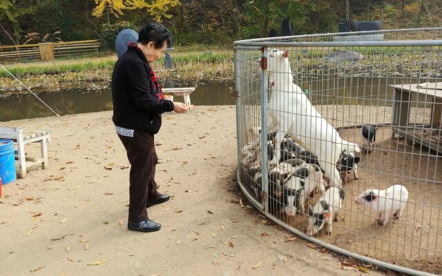 Boryeong Laon Pension