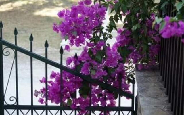 Vokamvilia Apartment & Studio Close to the sea