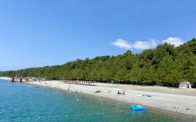 Mozaika (с. Лдзаа)