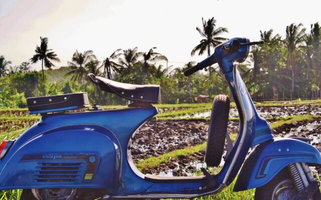 Echo Beach Villa & Apartment