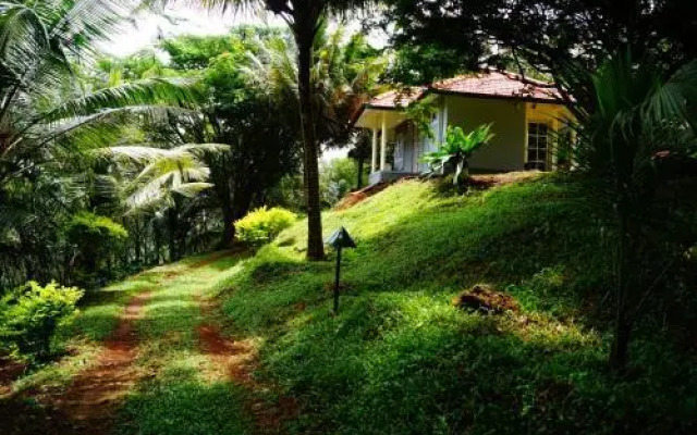 Contour Jungle Resort