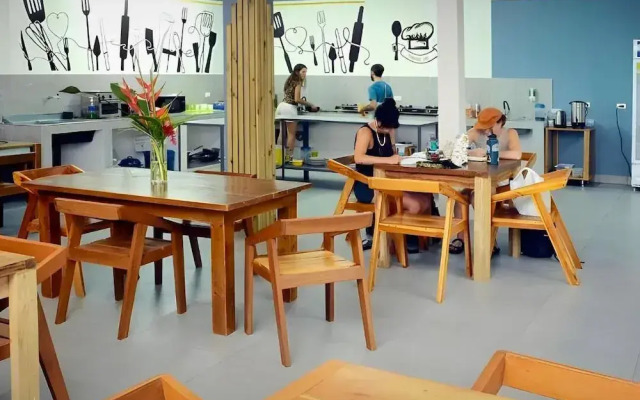 Wide Mouth Frog At Quepos