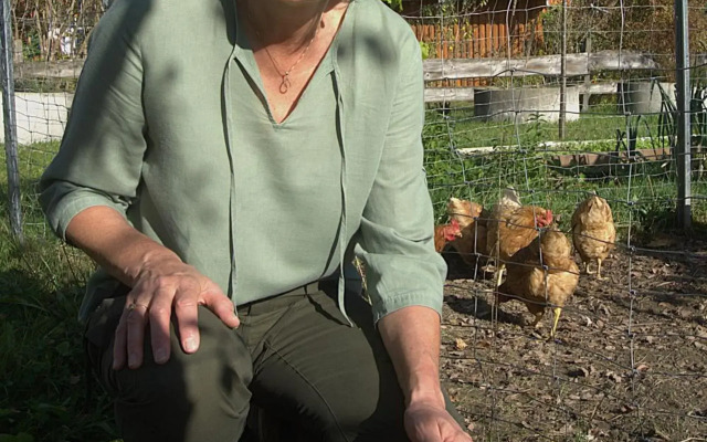 Landhotel und Gasthof Zur Post