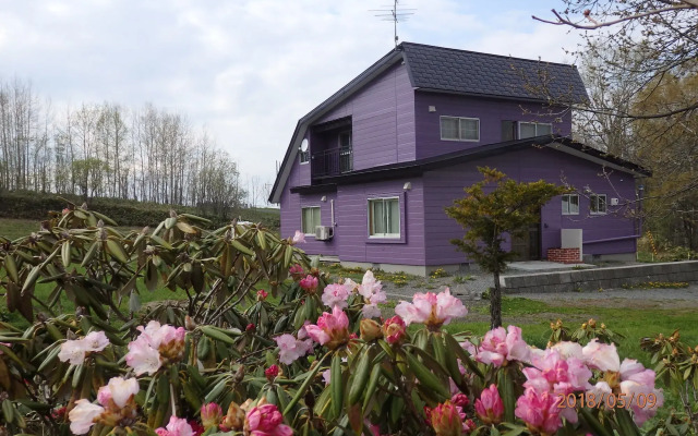 Cottage Clover