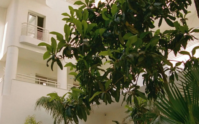 Apollo Palm Hotel