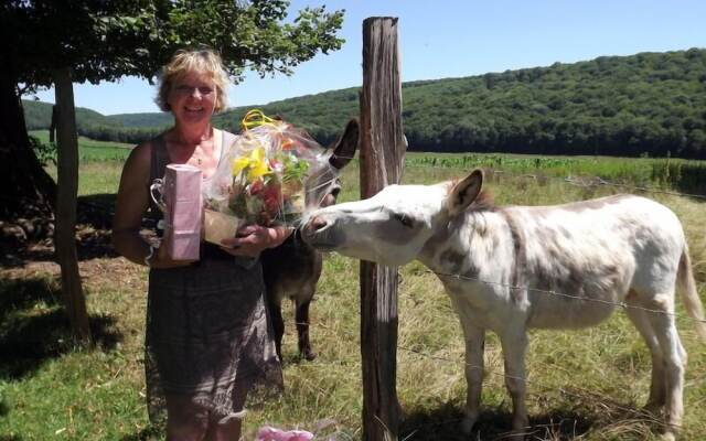 Domaine de Fontenelay
