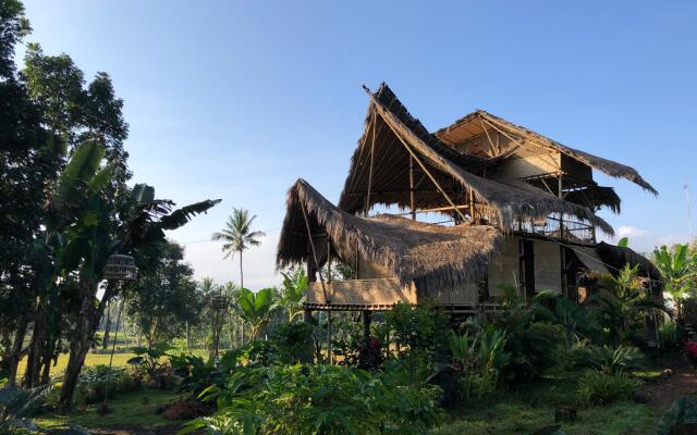 Bamboo & B - Hostel