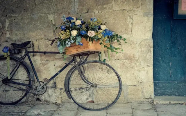 Bicycle Belgrade Hostel