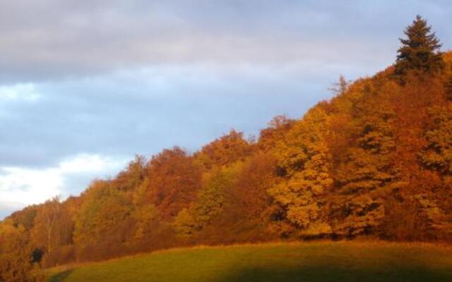 Hotel & Landgasthaus Pfeifertal