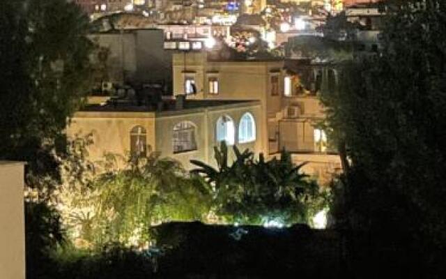 Villa Striano Capri - Guest House - Rooms Garden & Art