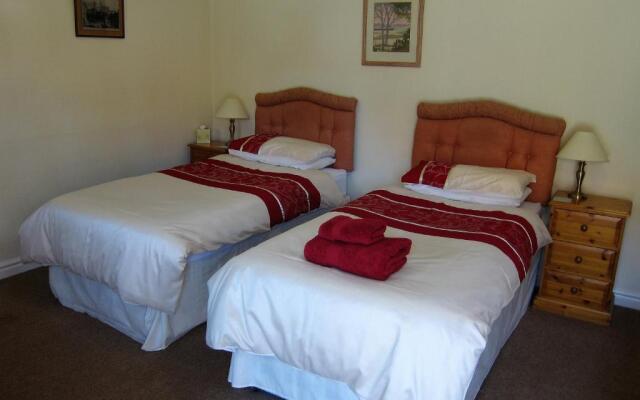 Black Swan Guest House