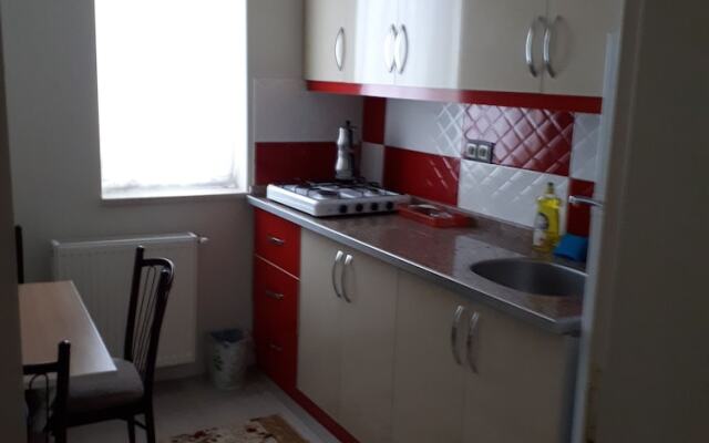 Di̇ri̇li̇ş Banarya Pansi̇yon