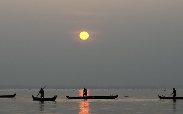 Purity at Lake Vembanad