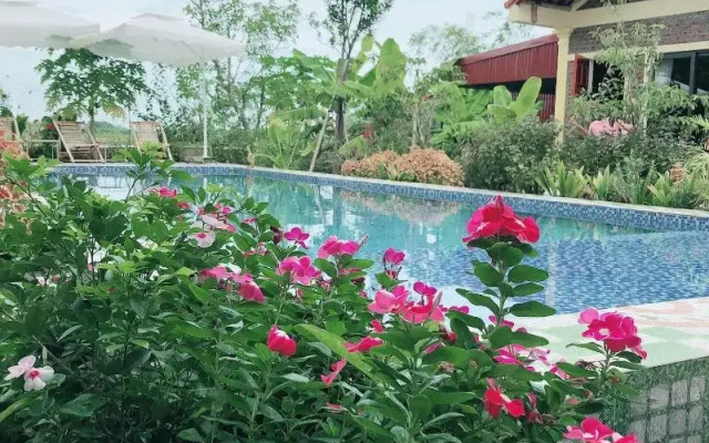 Tam Coc Sunrise Homestay