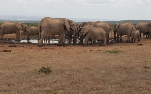 Charihandra Game Lodge