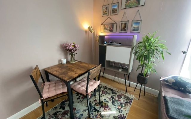 Cosy and Stylish 1 Bedroom in Pimlico