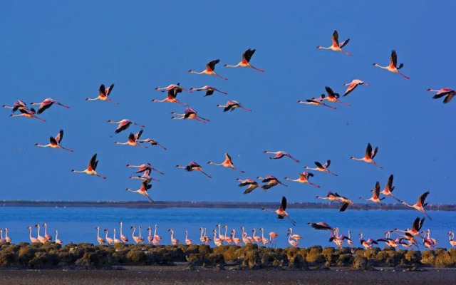 Rann Riders
