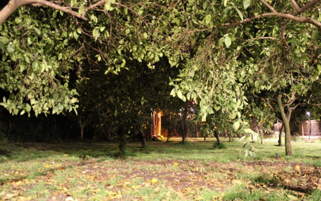 Seker Bungalov