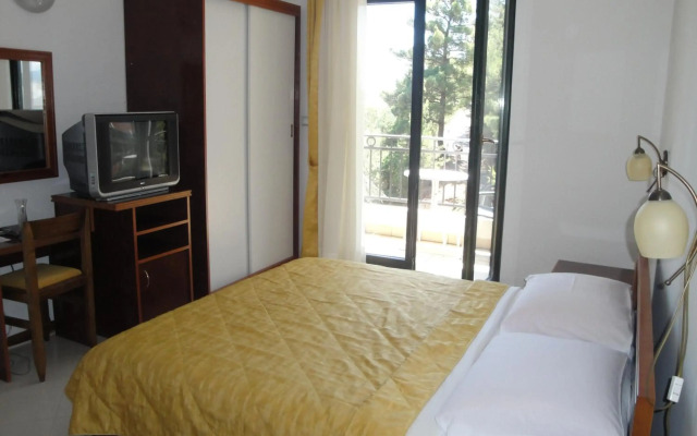 Hotel Danica