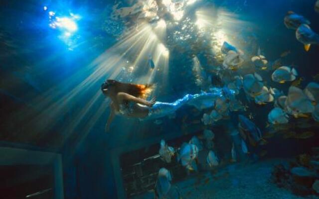 Big White Whale Ocean Exploration World
