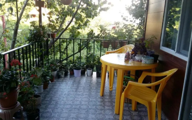 Afsaros