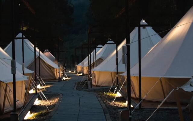 The Tale of Butterfly