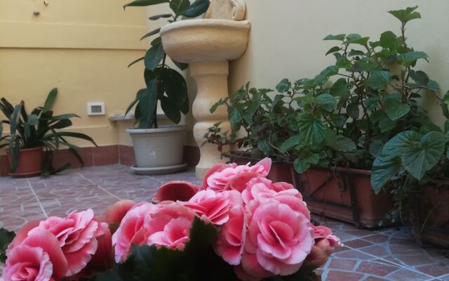 Le Rose del Viale B&B