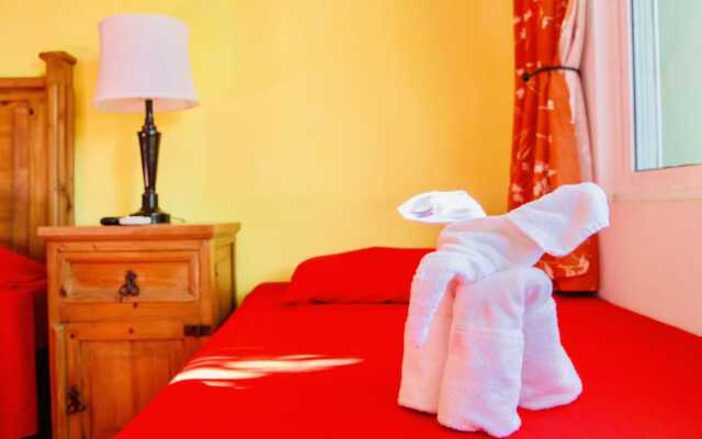 Room-executive Budget Room With Swimming