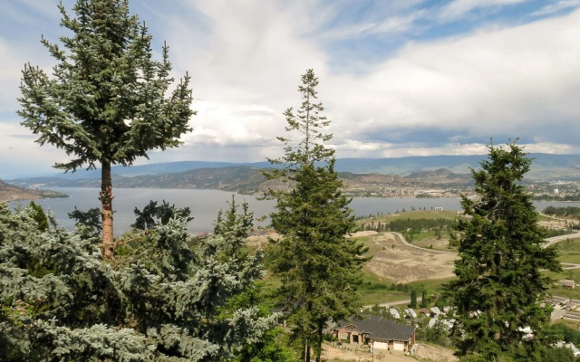 A View of the Lake Bed & Breakfast