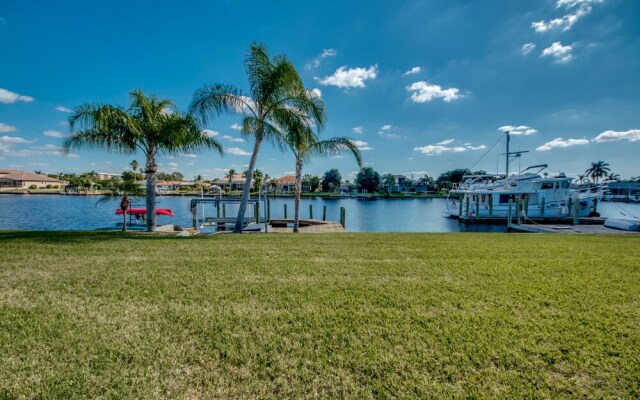 All About The Dolphins - Roelens Vacations