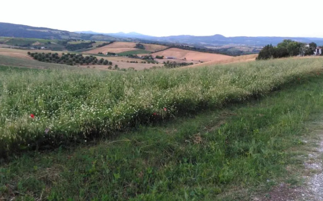 Agriturismo Uliveto Gretacci