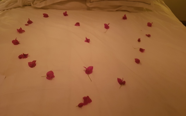 De Kloof Luxury Estate