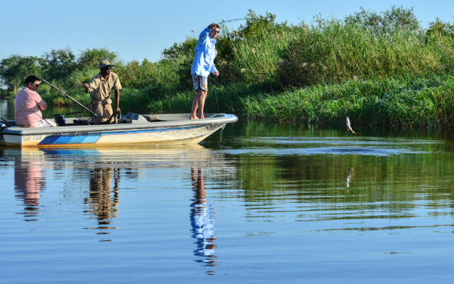 Chobe Princesses by Mantis