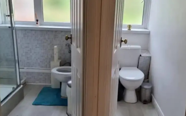 Alexandra Palace 3 Bedrooms Apartment in London
