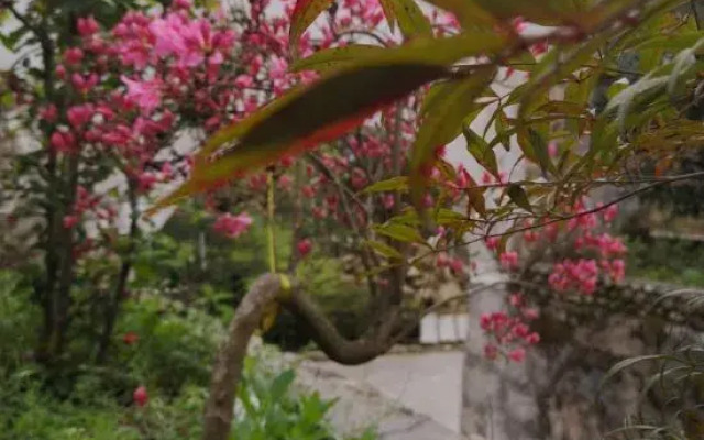 Tiantangzhai Laozhujia Farmhouse Inn