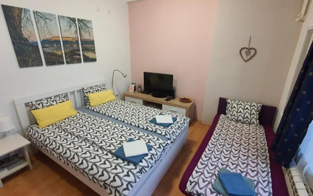 Studio Apartman Ld U Strogom Centru