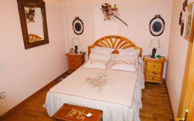 Apartamentos Sallent Gallego