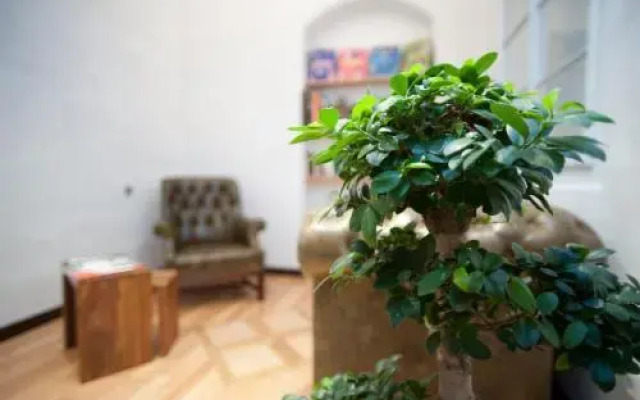 Hotel Engel - Lindauer Bier und Weinstube