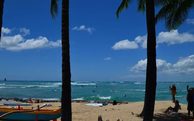 Waikiki Banyan #T1-910 by RedAwning