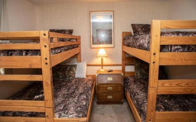 SDC203 Snowdance by RedAwning