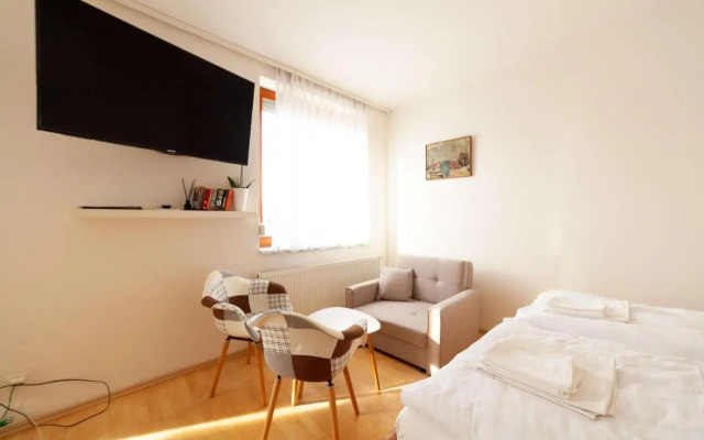 Vitkov Park Apartment