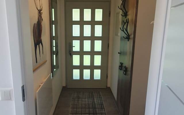 Apartment in Kirchdorf Near Ski Slopes