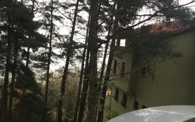 Hanci Villa 1