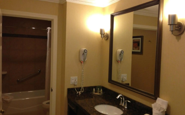 Holiday Inn Hotel & Suites San Mateo-San Francisco SFO by IHG