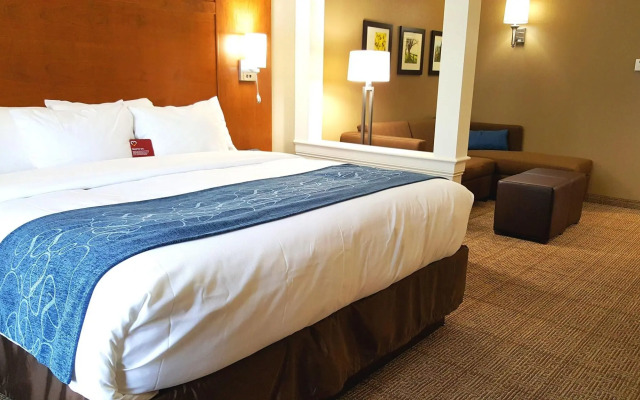 Comfort Suites Hotel and Conference Center