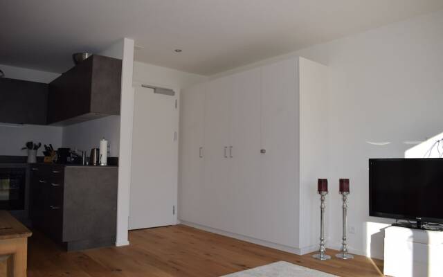 Apartment Jungfrauview