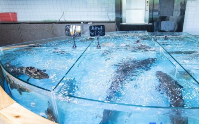 Xinhai Sea View Swimming Pool Villa（Poly Jinchowan Store）